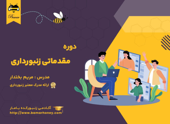 دوره مقدماتی زنبورداری