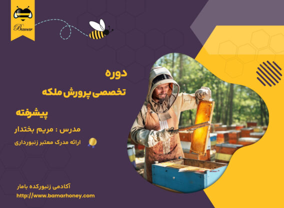 دوره تخصصی پرورش ملکه