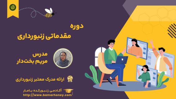 دوره مقدماتی زنبورداری