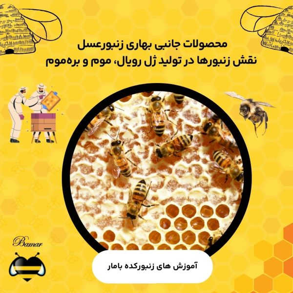 محصولات جانبی بهاری زنبورعسل : نقش زنبورها در تولید ژل‌ رویال، موم و بره‌موم