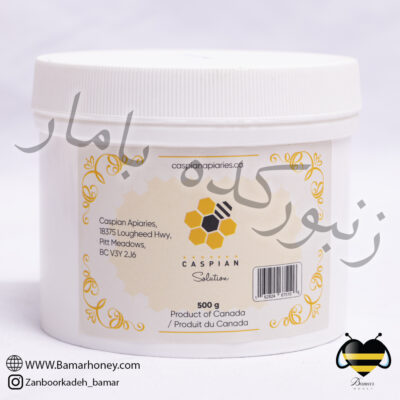 کاسپین سلوشن