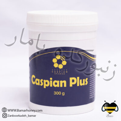 کاسپین پلاس