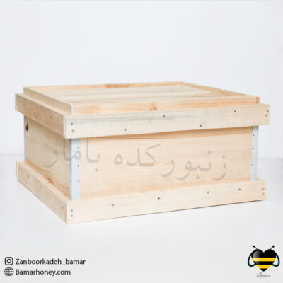 طبق معمولی