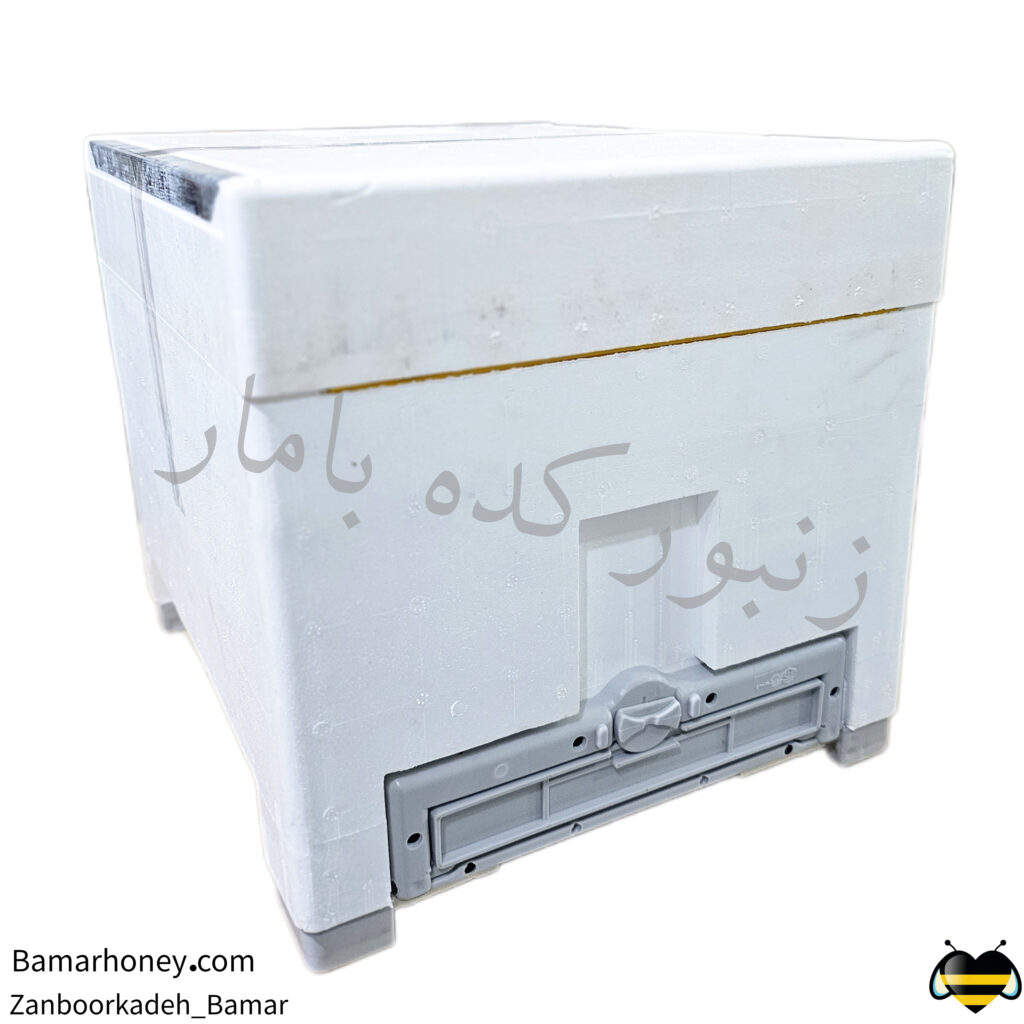 کندو 10 قاب فومی نوین کندو1445