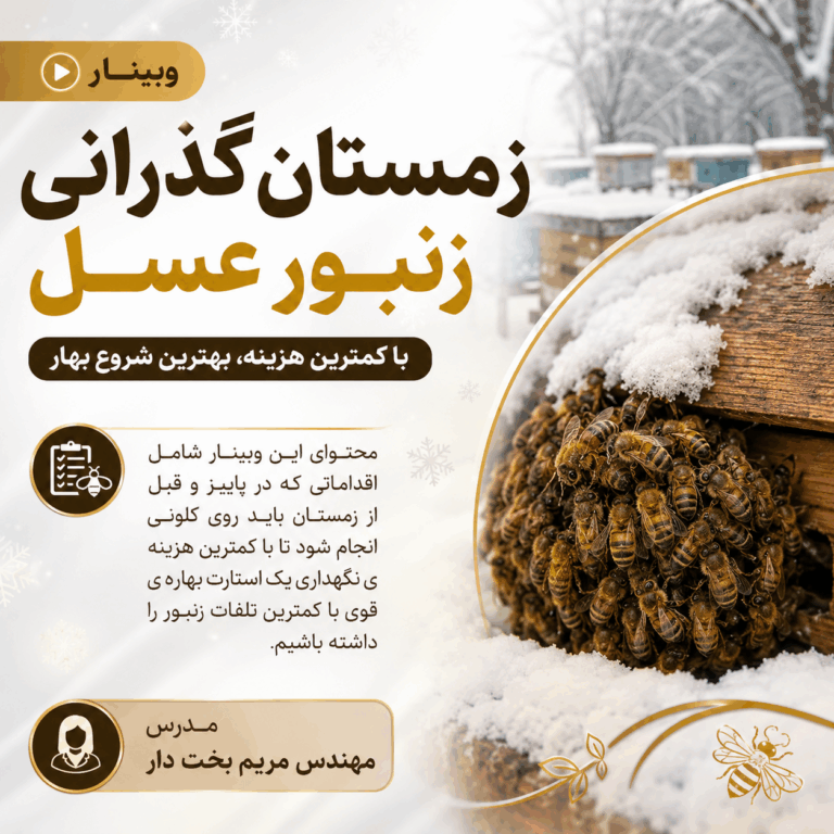 وبینار زمستان گذرانی