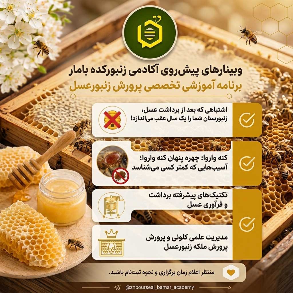 برنامه‌های آکادمی بامار