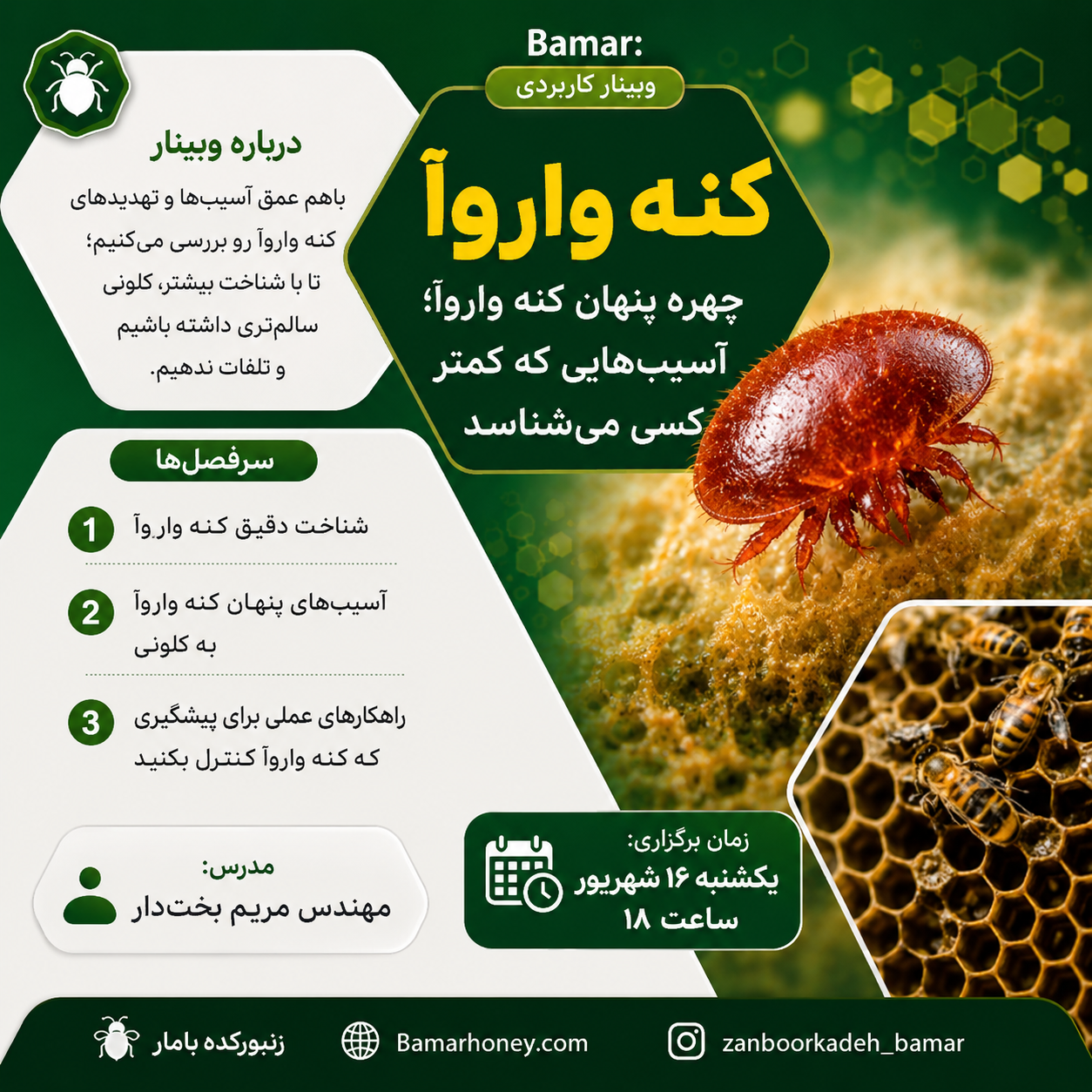 وبینار چهره پنهان کنه ی واروا