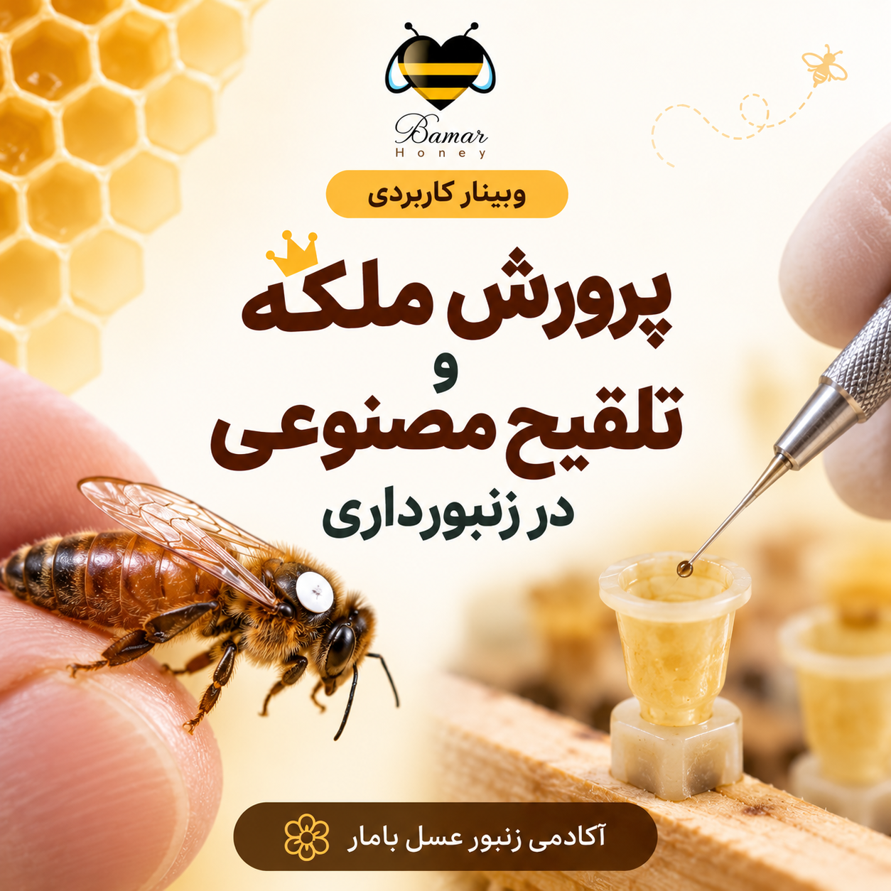 وبینار:(اهمیت پرورش ملکه و تلقیح مصنوعی در زنبورداری)